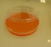 CALDO MANITOL SALINO 450G