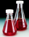 MATRAZ ERLENMEYER PLAST PMP CON TAPA 250ML