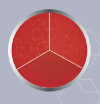 BASE AGAR SANGRE 500G