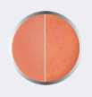 AGAR DESOXICOLATO CITRATO 500G