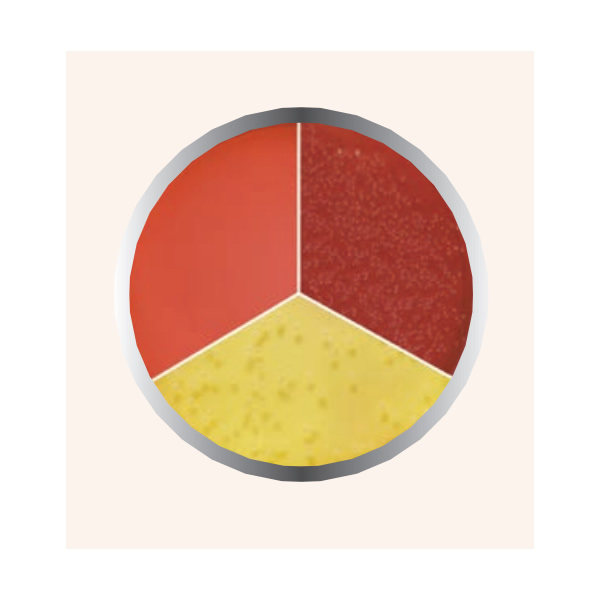 AGAR SAL Y MANITOL 450G