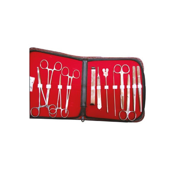 ESTUCHE DE DISECCION