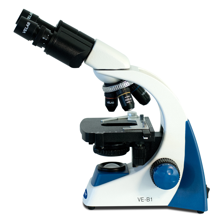 MICROSCOPIO BINOCULAR OBJ 4X10X40X100X